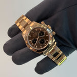 2023 Rolex Daytona Cosmograph Chocolate Dial / Rose Gold / Mint Condition / Box & Papers Just Watch It